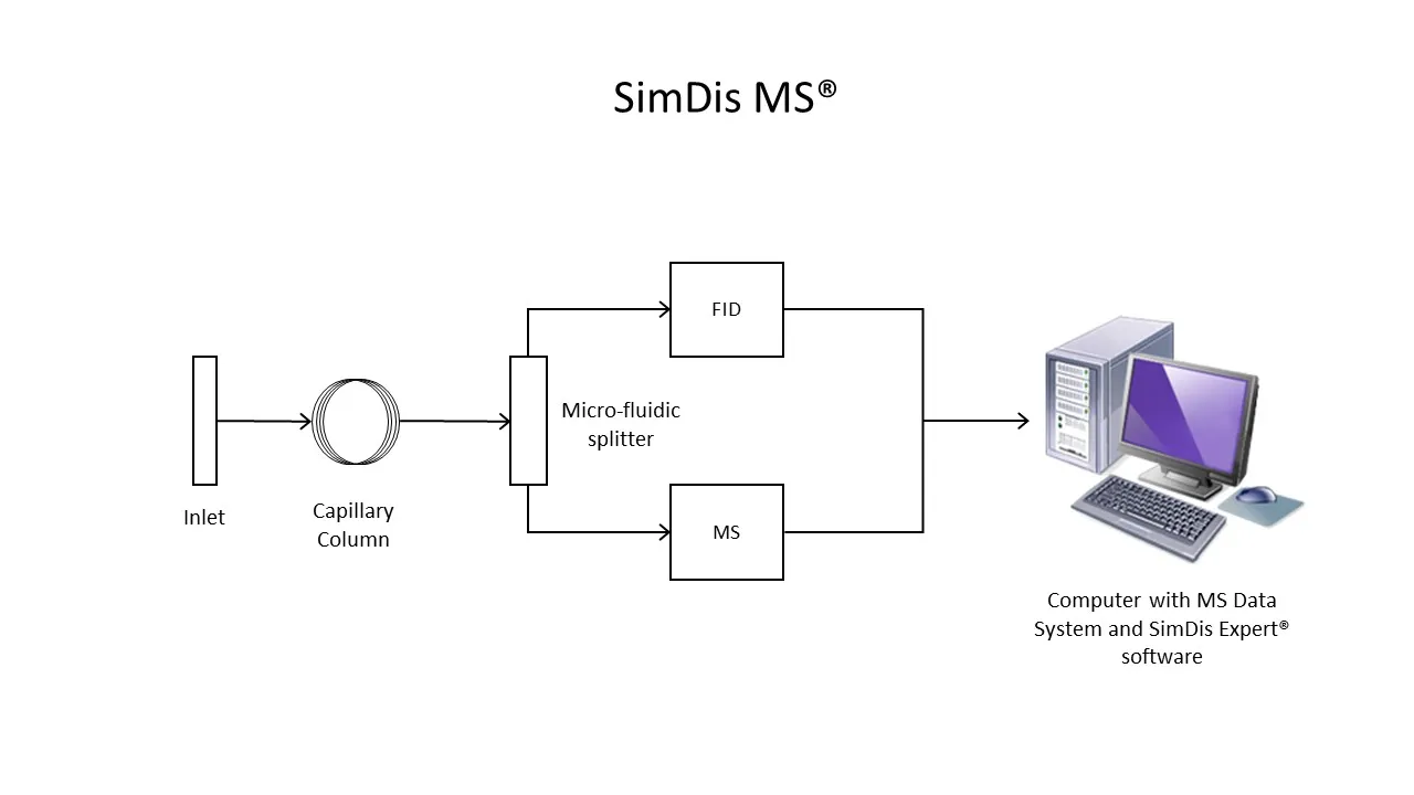 SDMS